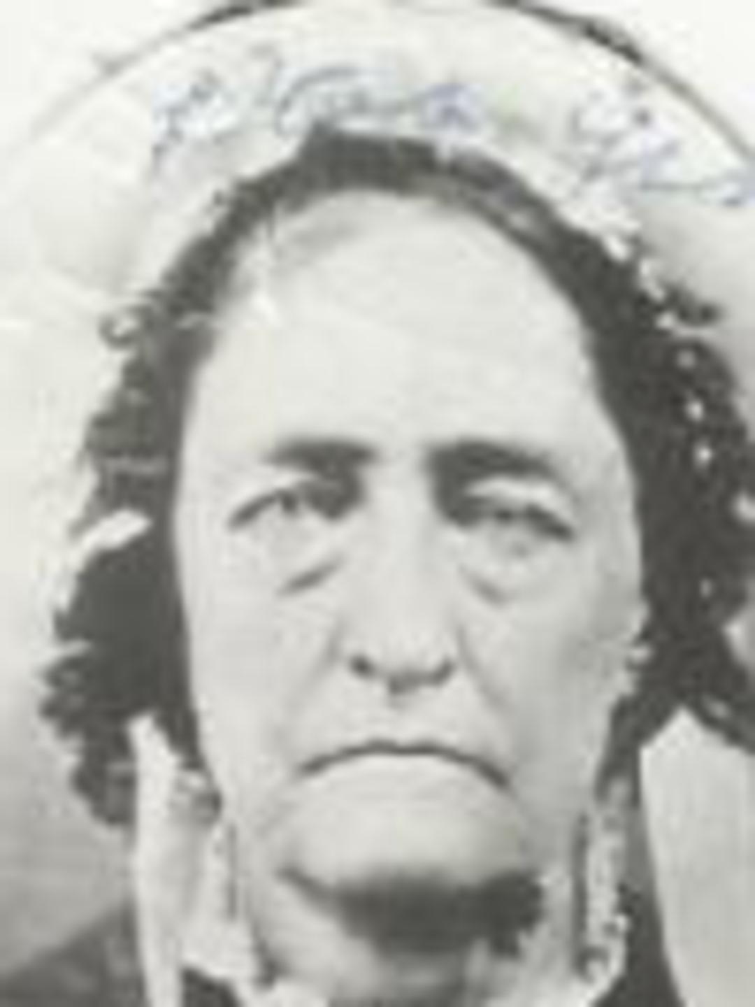 Nancy Reddick Greer (1805 - 1878) Profile